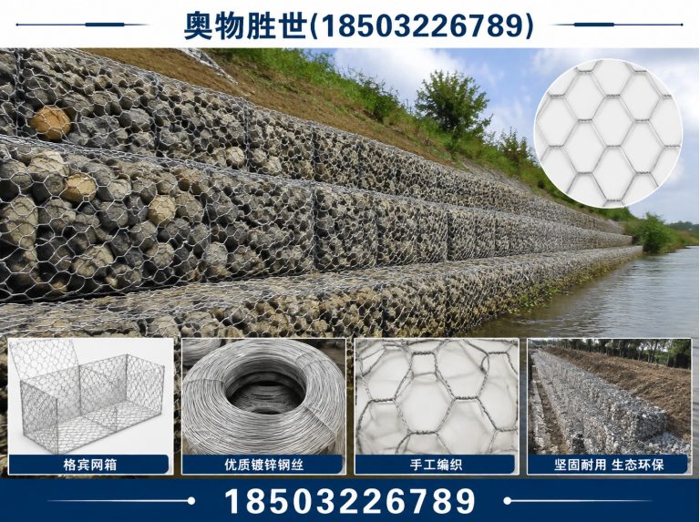 鸡西雷诺护垫展示图